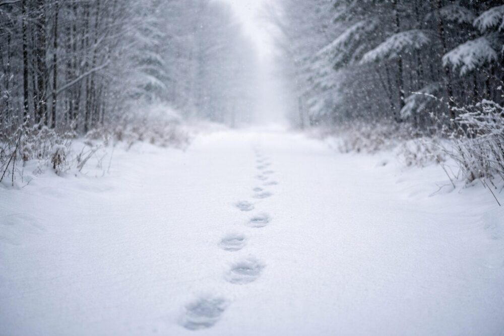 冬の女性一人旅